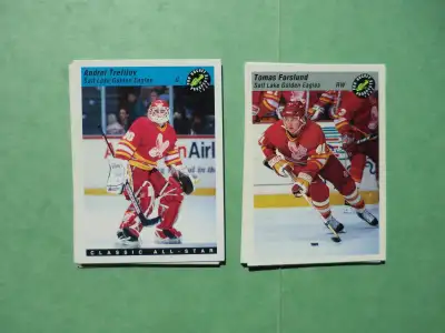 Classic Pro Hockey Prospects 1993, View more