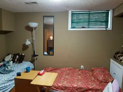 Shared room for rent near Humber North