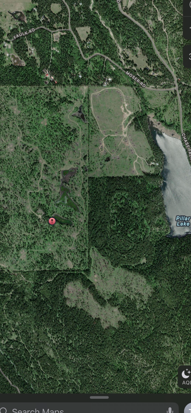 163 Acres in FALKLAND! in Land for Sale in Kamloops - Image 7