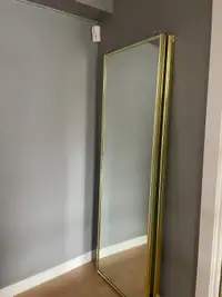 Closet mirror doors 