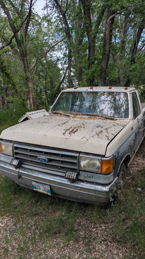 1989 Ford F 150 Custom 