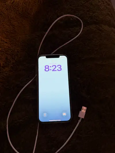 iPhone 12 Pro Max, View more