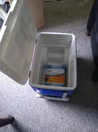 Coleman cooler with 2 Cryopak ice packs