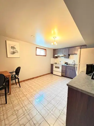 Spacious Quite 2br bsmt aptmt Warden/Steels
