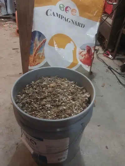 Fumier de cailles ! Vendu en 5 gallons! 15$ du 5 gallons! (Bon pour jardin, gazon, composte etc)