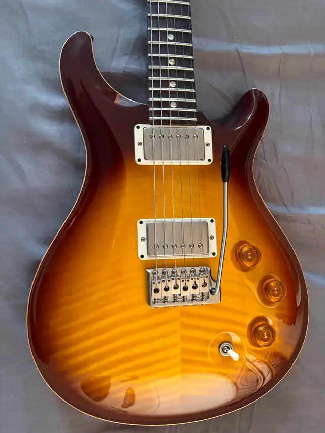 PRS 2020 DGT David Grissom Tremolo Core in Guitars in City of Toronto - Image 3