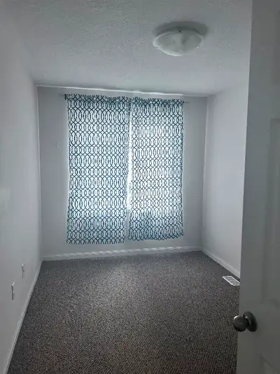 Room for rent in a beautiful townhouse in West Brantford. Utilities included and internet. Looking f...