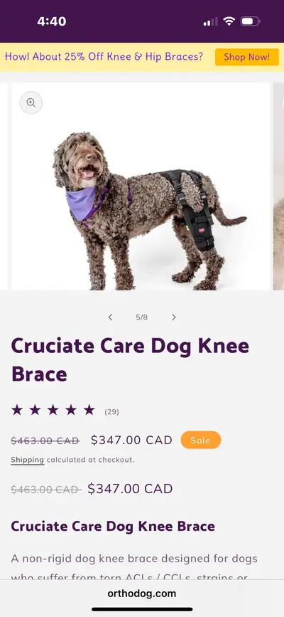 Ortho Dog - large dog cruciate care brace, View more