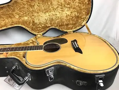 Takamine guitar, View more