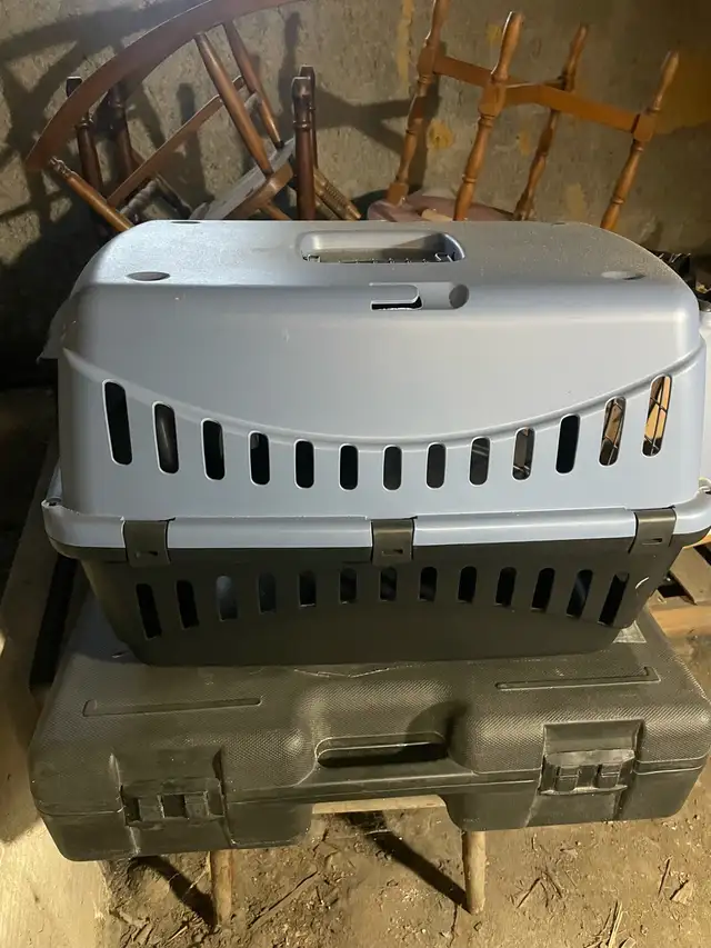 cage à chat ou petit chien  in Accessories in Lanaudière - Image 3