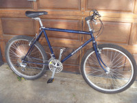 Nishiki  Bushwacker mountain bike