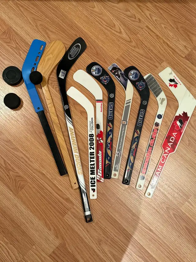10 mini hockey sticks, pucks, balls - $49