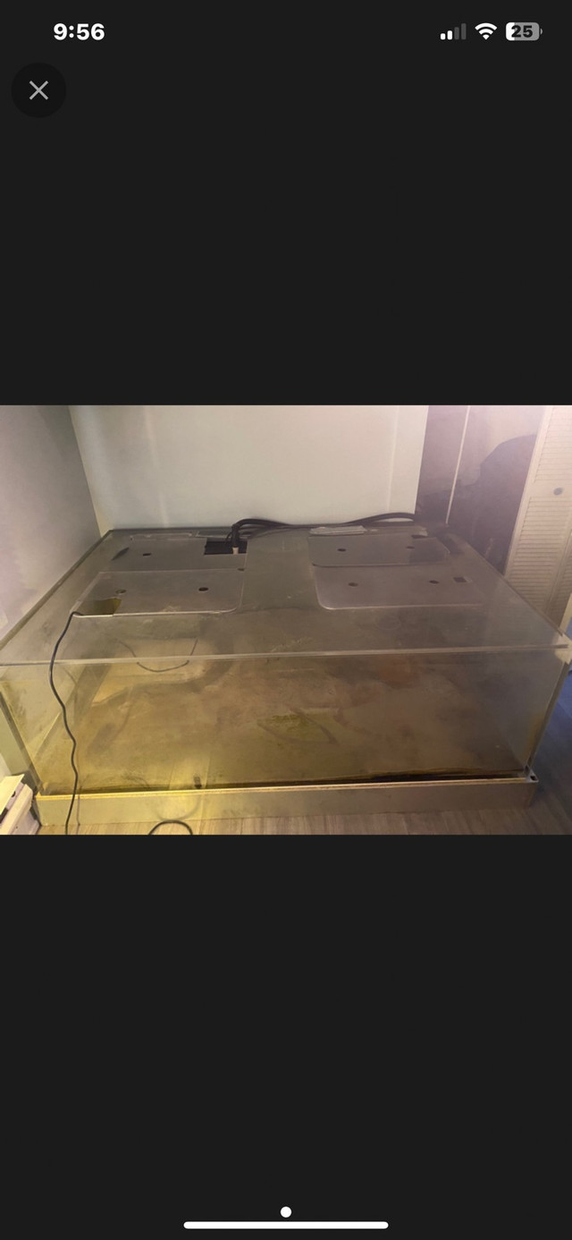 360gal Acrylic tank  in Fish for Rehoming in Delta/Surrey/Langley