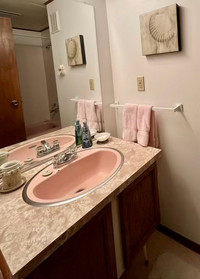 Bathroom Vanity (Small)