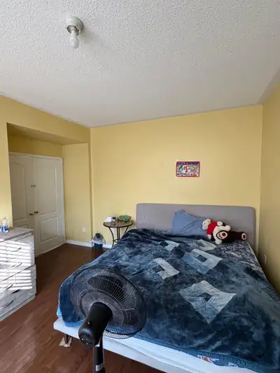 Big private Room available for girl