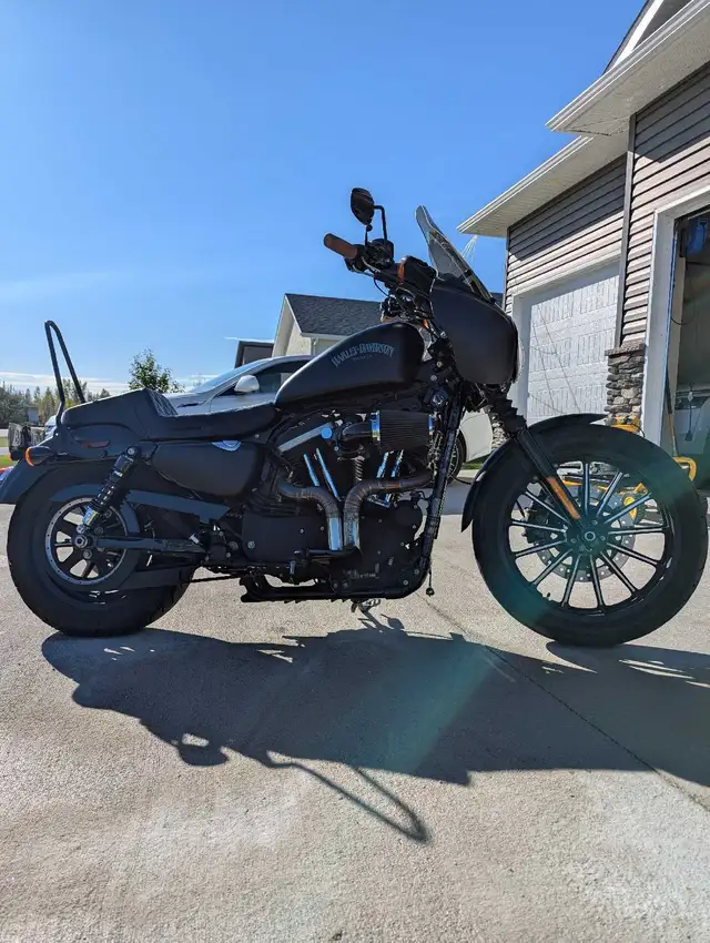 2014 Harley Davidson Sportster 883 Iron in Street, Cruisers & Choppers in Winnipeg - Image 2