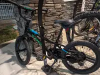 Trek 16' inch Kids Bike - $60
