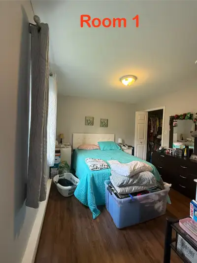 Room for Rent