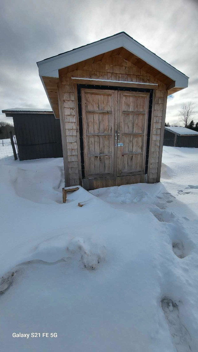 Chicken/ turkey coop in Livestock in Bathurst - Image 3