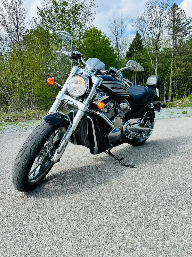 Harley Davidson V Rod Street  2006 in Sport Touring in Laurentides - Image 10