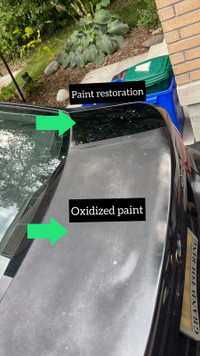 Paint restoration 