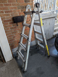 Cosco Multi-Use Ladder