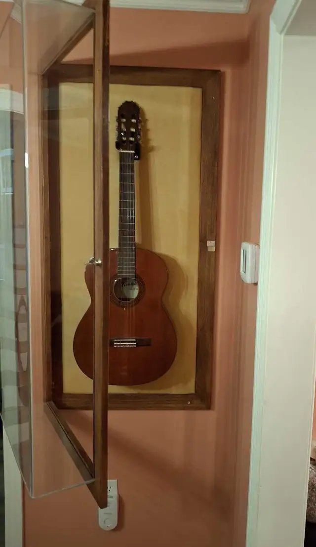 Unique Guitar Display Case in Guitars in Markham / York Region - Image 3
