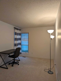 2 rooms for rent near Algonquin college