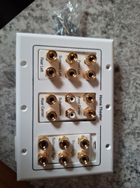 Home theater wall plate