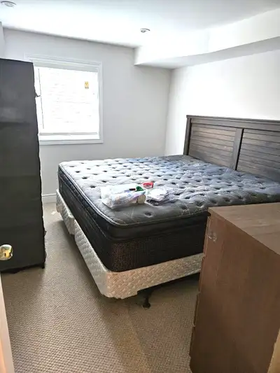 1 Bed, 1 Bath Walkout Basement For Rent $1700 In Vaughan