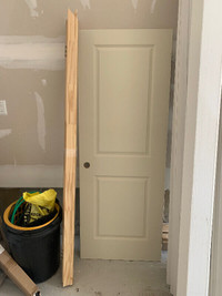 2 Panel Interior Doors 30” by 80” $100 a door
