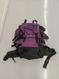 Spalding Large Hiking Backpack