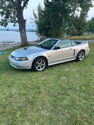 2004 Ford Mustang Gt 40 anniversaire