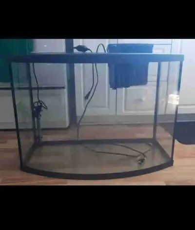 Immaculate 40 gallon bowfront aquarium. Includes 100 watt self-reg heater, lid and seachem 50g + HOB...