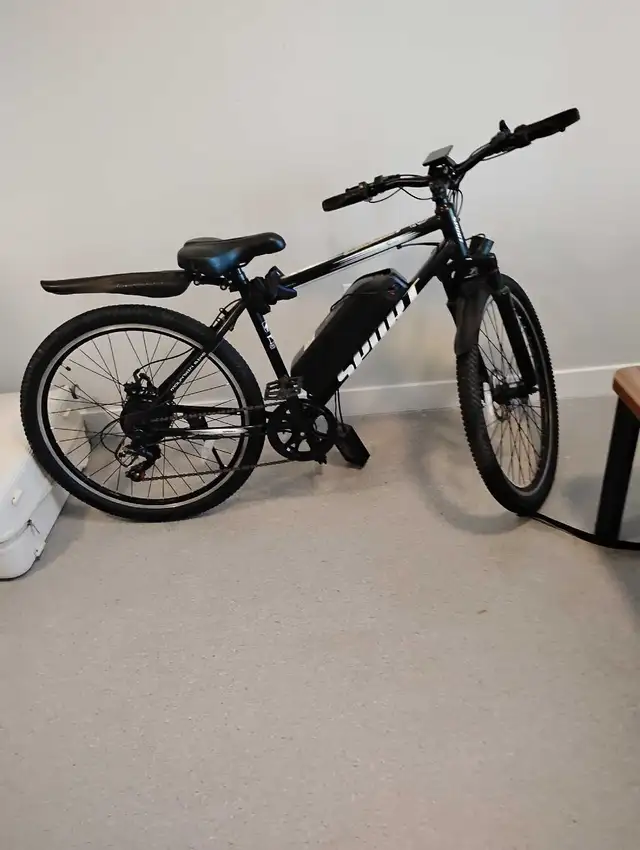 Electric bike 578762005137346562