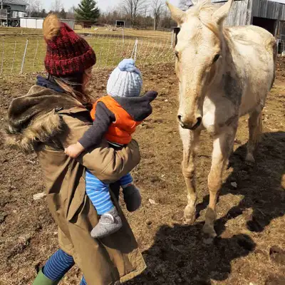 Hello, Urgently looking for donations of farm/land to start animal/human rescue and rehab business....