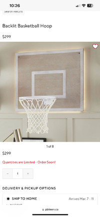 Pottery Barn Decorative Basketball Hoop - brand new in box
