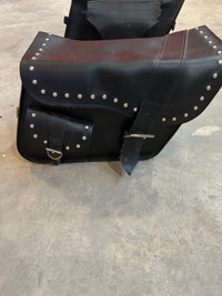 Willie Max Saddle Bags