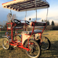 ELECTRIC SINGLE BENCH SURREY QUADRICYCLE BIKES with Pedal Assist