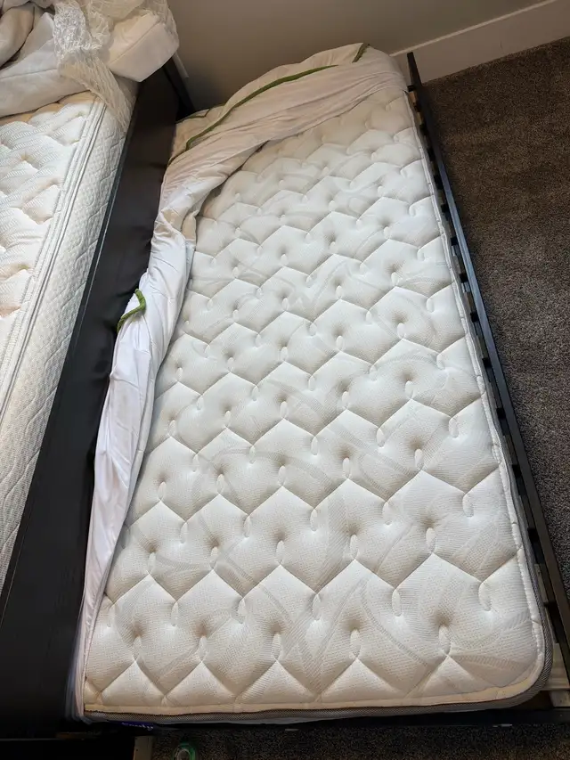 day bed with  2 single mattress  in Beds & Mattresses in Delta/Surrey/Langley - Image 3