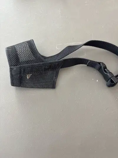 Free Dog Muzzle, View more