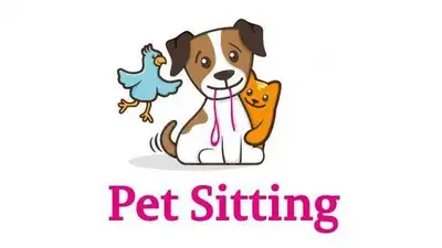 Pet Sitting Services , View more