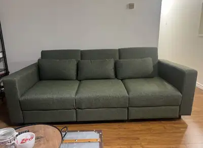 Moving Sale: Cozey Neptune Sofabed in Leaf, View more