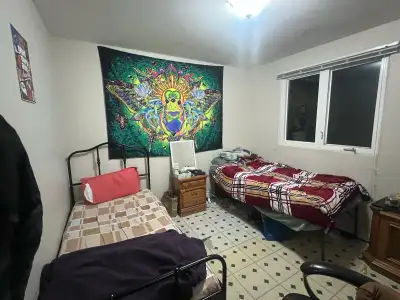 Room for rent for boys