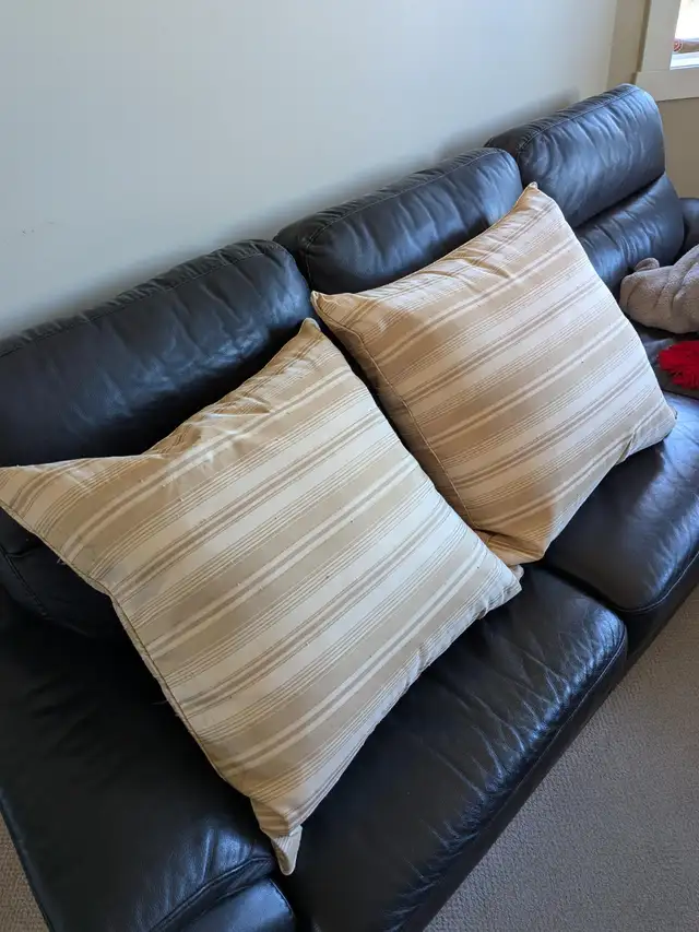 Two Large Pillows65669428034690121
