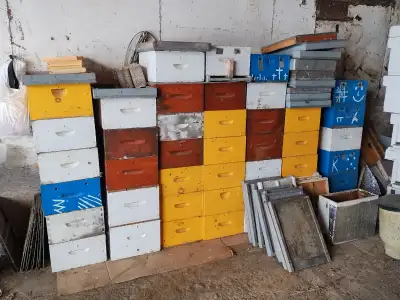 Numbers are approximate. 16 supers with Drawn comb@$75, 10 supers with frames and foundation@$70, 13...