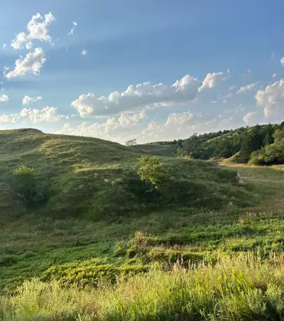 We’re a caring, down-to-earth family hoping to find a peaceful rural home to rent or buy (rent-to-ow...