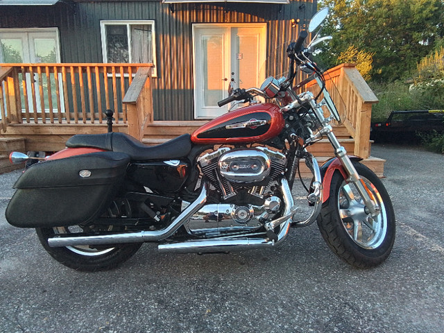 2011 harley davidson sportster custom 1200  1st owner  low km in Street, Cruisers & Choppers in Sarnia