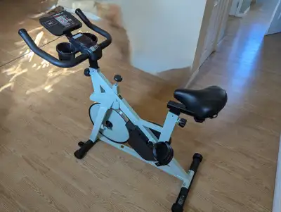 Lacuffy Indoor Spin Bike, View more