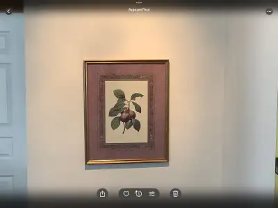 Câdre avec vitre  24´´  haut x 18´´  large.   Élément  décoratif, View more